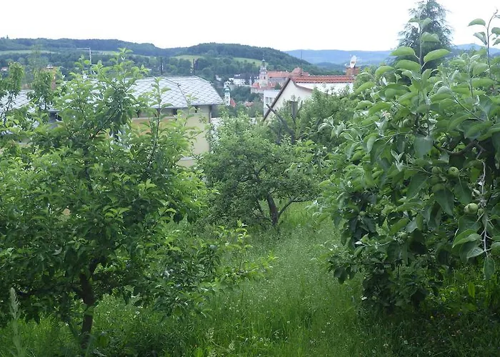 U Dolanskych